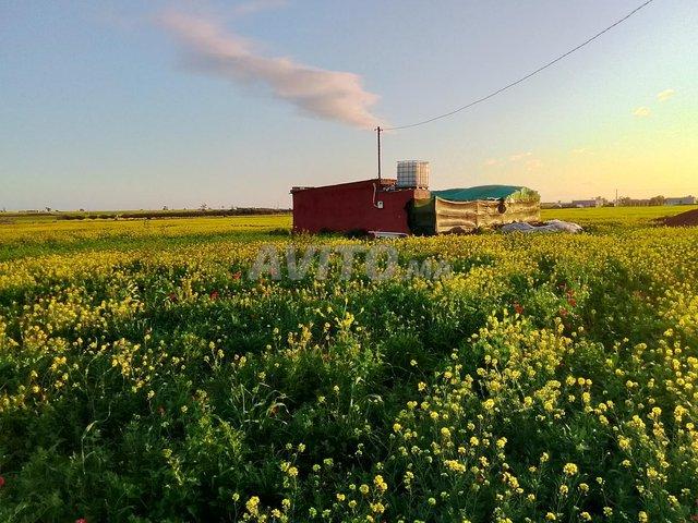 Propriété vente à Settat, Chaouia-Ouardigha