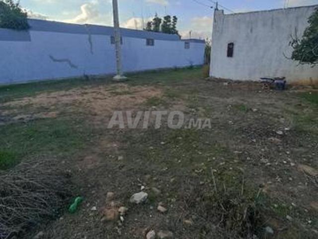 Propriété vente à Sidi Allal El Bahraoui