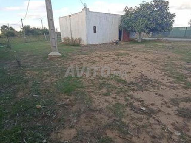 Propriété vente à Sidi Allal El Bahraoui
