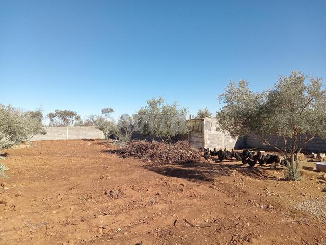 Propriété vente à Al Haouz, L'Oriental