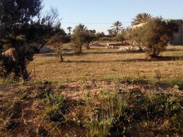 Terrain vente à Djerba - Houmet Essouk