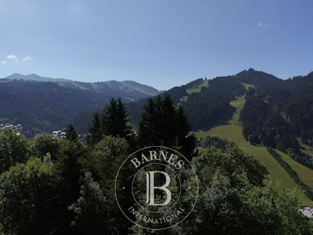Terrain vente à Thonon-les-Bains, Les Gets