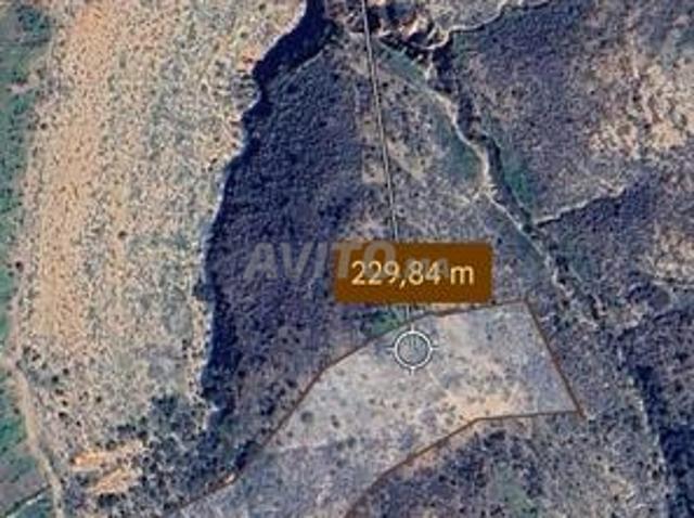 Propriété vente à Nador