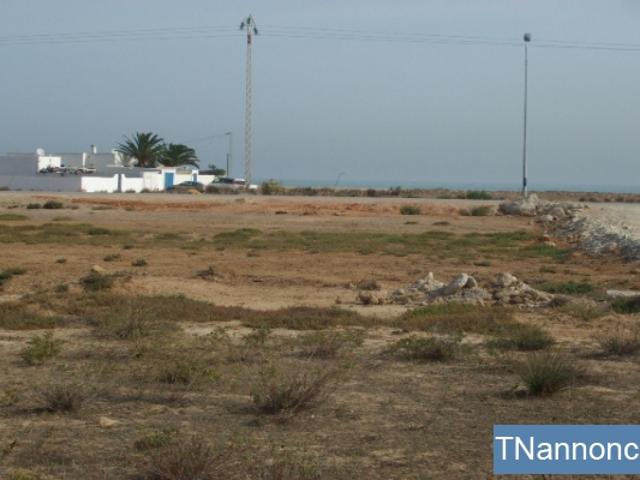 Terrain location