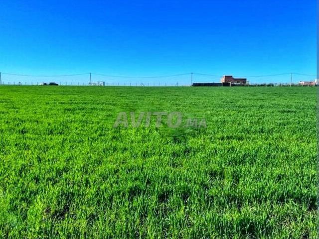 Propriété vente à Ifrane