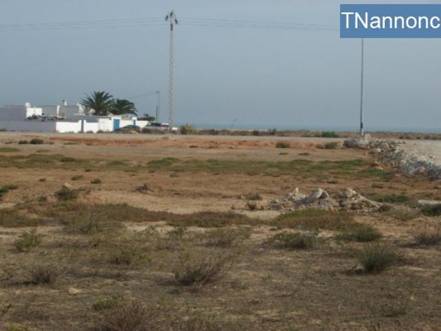 Terrain location