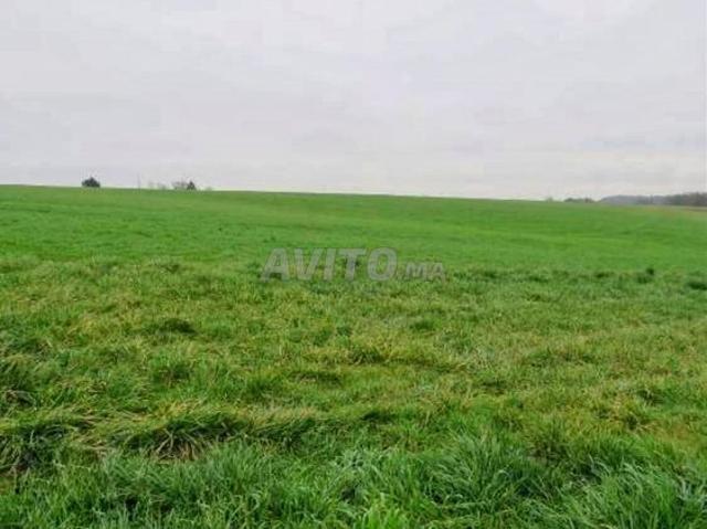 Propriété vente à Ifrane