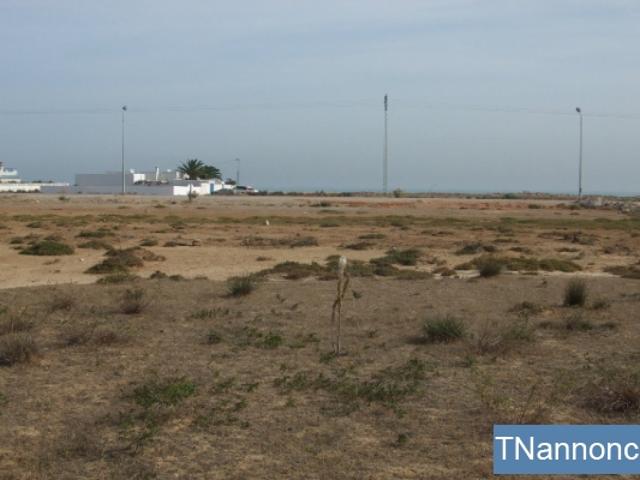 Terrain location