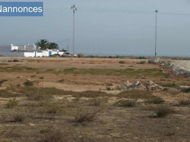 Terrain location