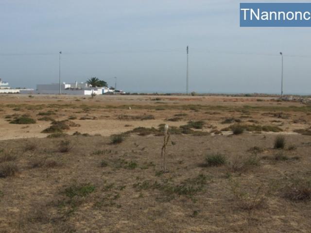 Terrain location