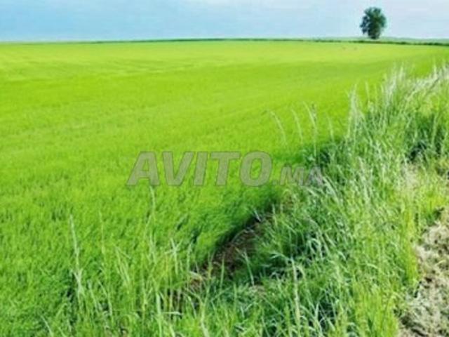 Propriété vente à Ifrane