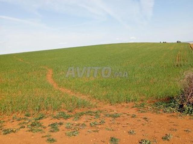 Propriété vente à Aït Yadine