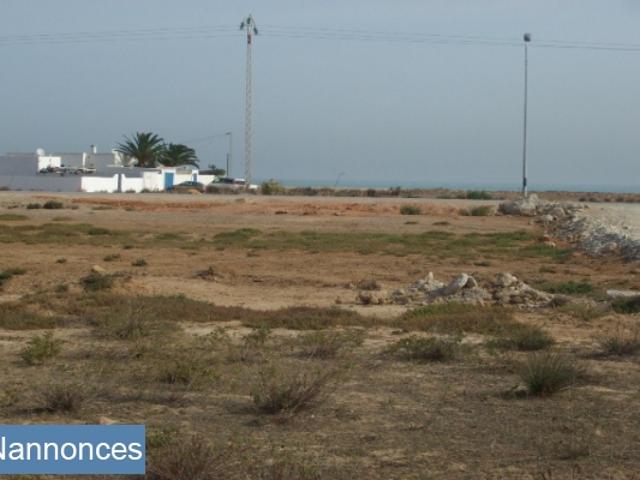 Terrain location
