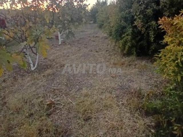 Propriété vente à Assilah, Tanger-Tétouan