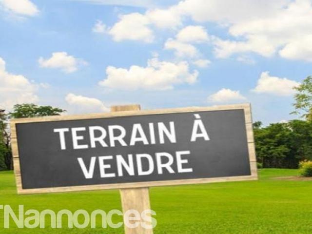 Terrain vente