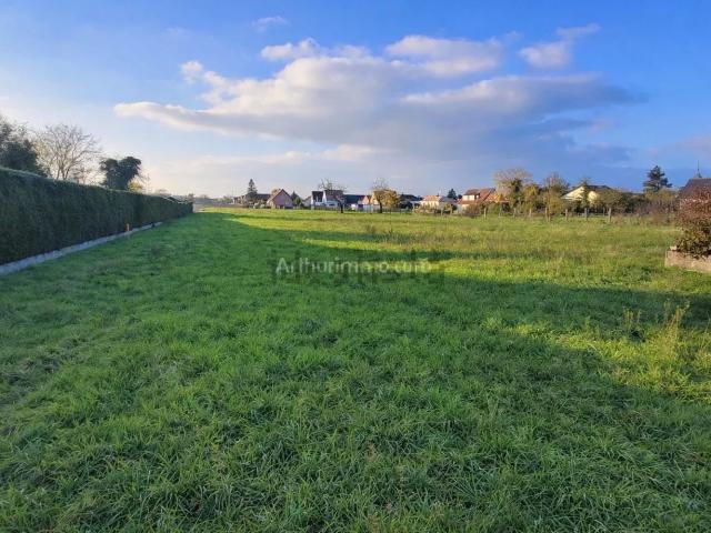 Terrain vente à Bantzenheim, Collectivité européenne d'Alsace