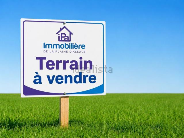 Terrain vente à Bantzenheim, Collectivité européenne d'Alsace
