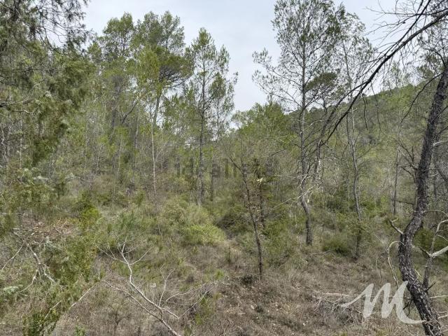 Terrain vente à Barjols, Var