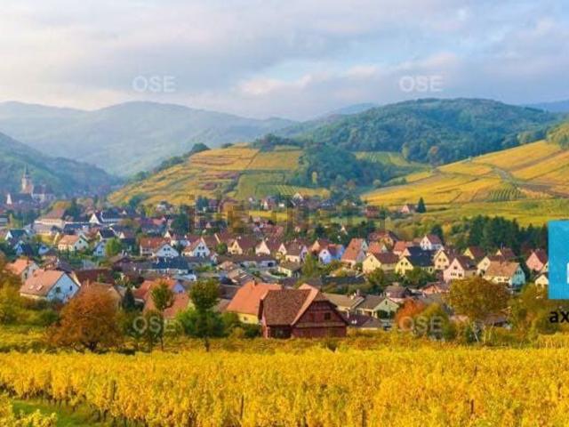 Terrain vente à Barr, Collectivité européenne d'Alsace