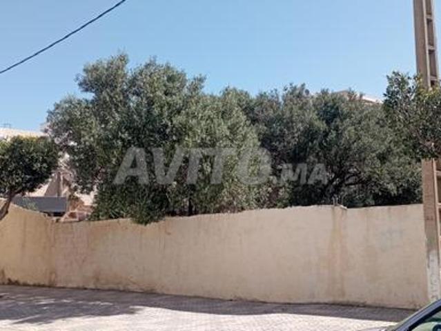 Propriété vente à Sidi Qacem