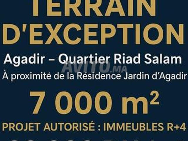 Propriété vente à Centre Ville
