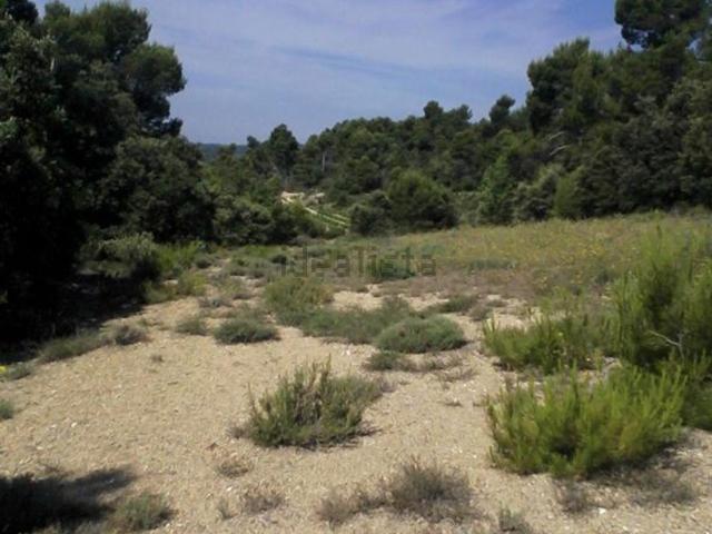 Terrain vente à Beaumont-de-Pertuis, Vaucluse