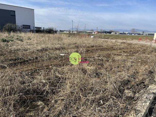 Terrain vente à Rossfeld, Collectivité européenne d'Alsace