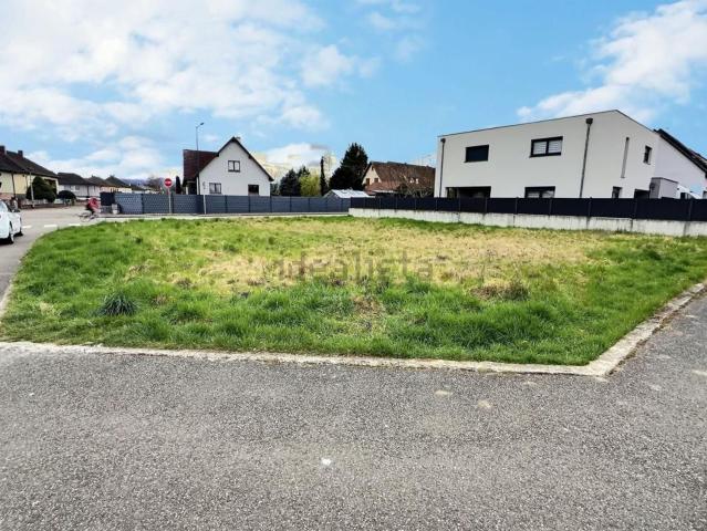 Terrain vente à Bennwihr, Collectivité européenne d'Alsace