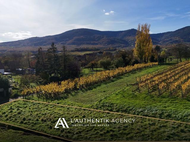 Terrain vente à Bernardswiller, Collectivité européenne d'Alsace