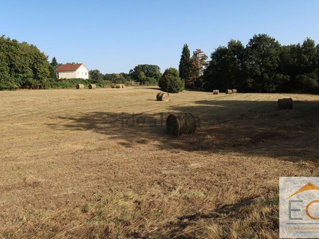 Terrain vente à Bersac-sur-Rivalier, Haute-Vienne