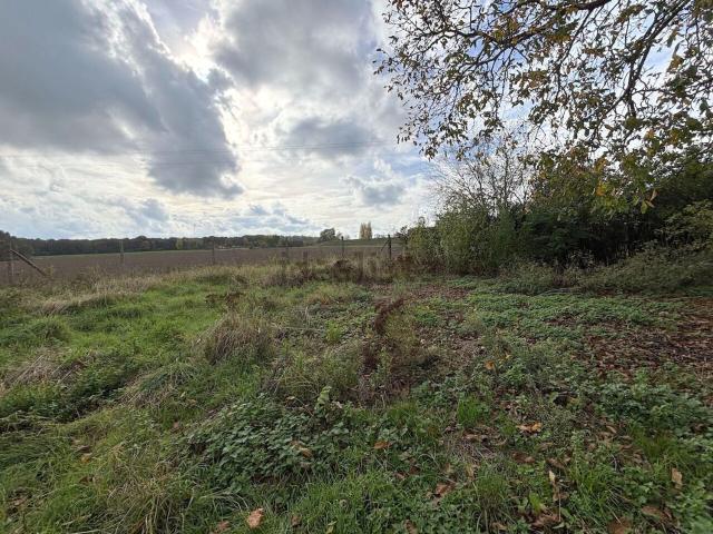 Terrain vente à Beuvry-la-Forêt, Nord
