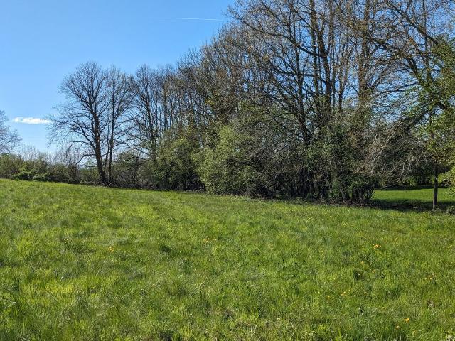Terrain vente à Beynat, Corrèze