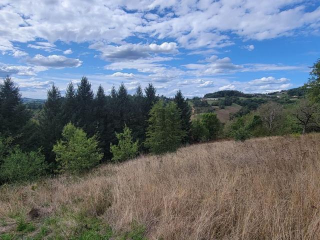 Terrain vente à Beynat, Corrèze