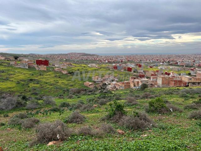 Propriété vente à Nador