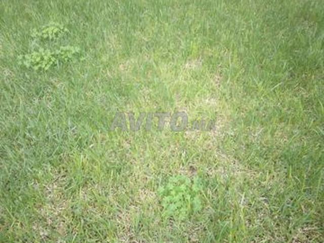 Propriété vente à Oulad Salah, Gharb-Chrarda-Beni Hssen