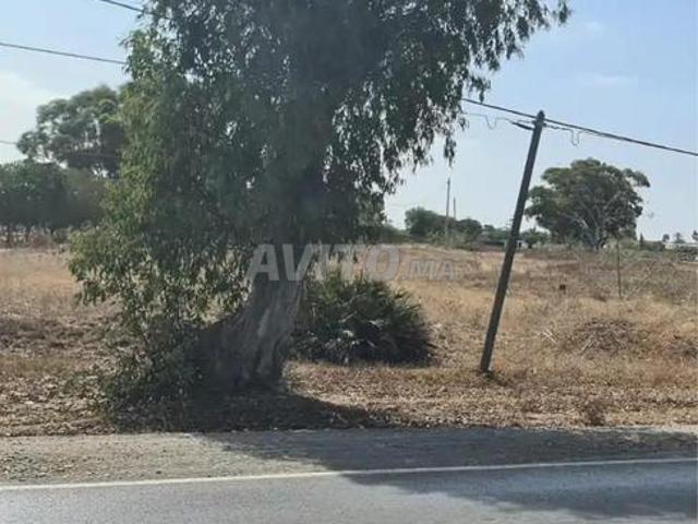 Propriété vente à Slimane, Gharb-Chrarda-Beni Hssen