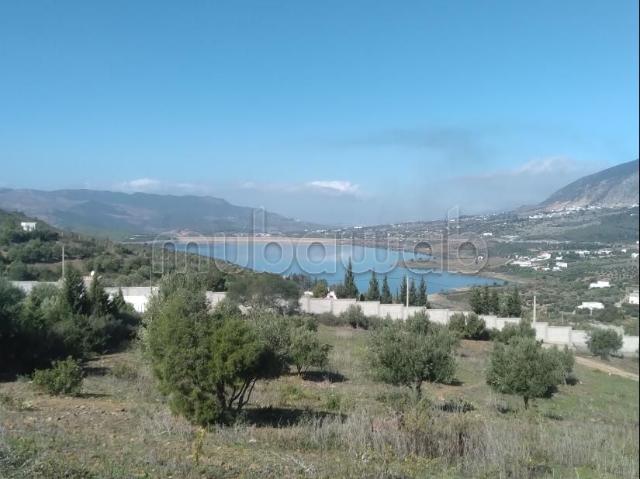 Terrain vente à Zinat, Tanger-Tétouan