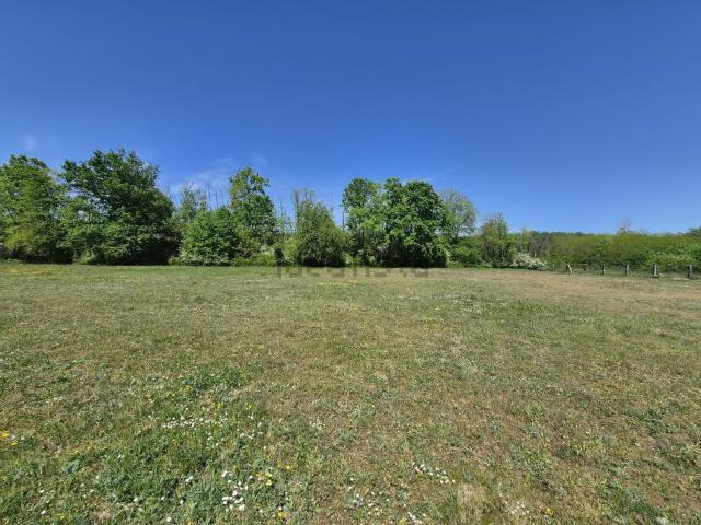 Terrain vente à Le Haut Noyer, Bignicourt-sur-Marne