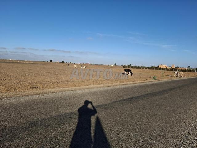 Propriété vente à El Ma, Gharb-Chrarda-Beni Hssen