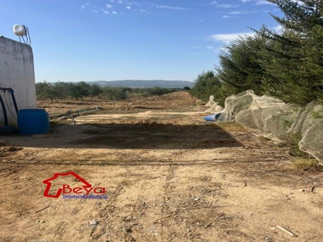 Propriété vente à Nabeul