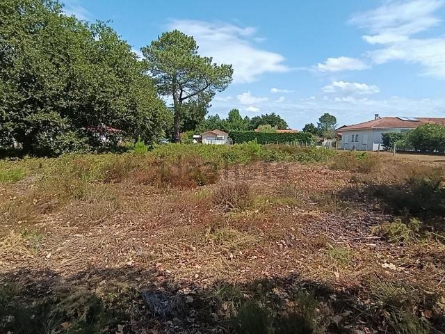 Terrain vente à Millas, Biscarrosse