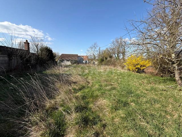 Terrain vente à Auxerre, Bléneau
