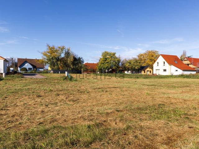 Terrain vente à Blodelsheim, Collectivité européenne d'Alsace