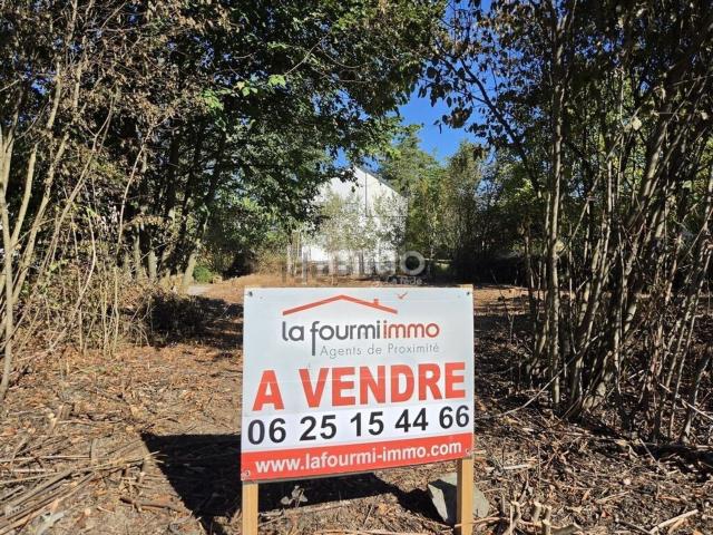 Terrain vente à Blotzheim, Collectivité européenne d'Alsace