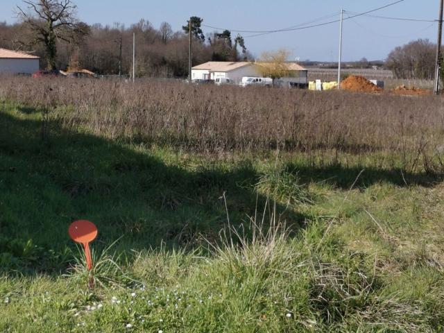 Terrain vente à La Bourrelière, Saint-Genis-de-Saintonge