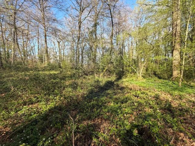 Terrain vente à Bois-le-Roi, Seine-et-Marne