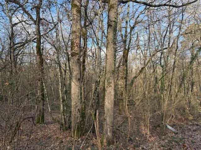 Terrain vente à Villeneuve-sur-Lot, Pujols