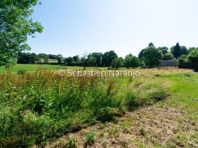 Terrain vente à Le Haut du Roseau, Boisseuil