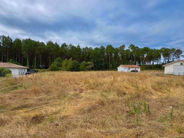 Terrain vente à Dax, Rion-des-landes