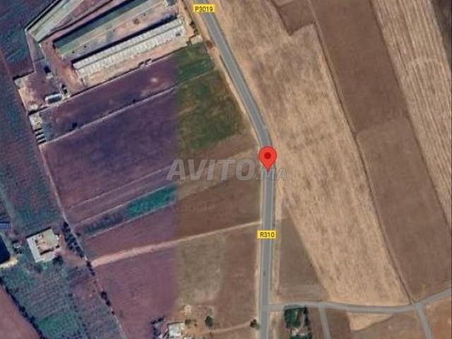 Propriété vente à Sidi Hajjaj, Gharb-Chrarda-Beni Hssen